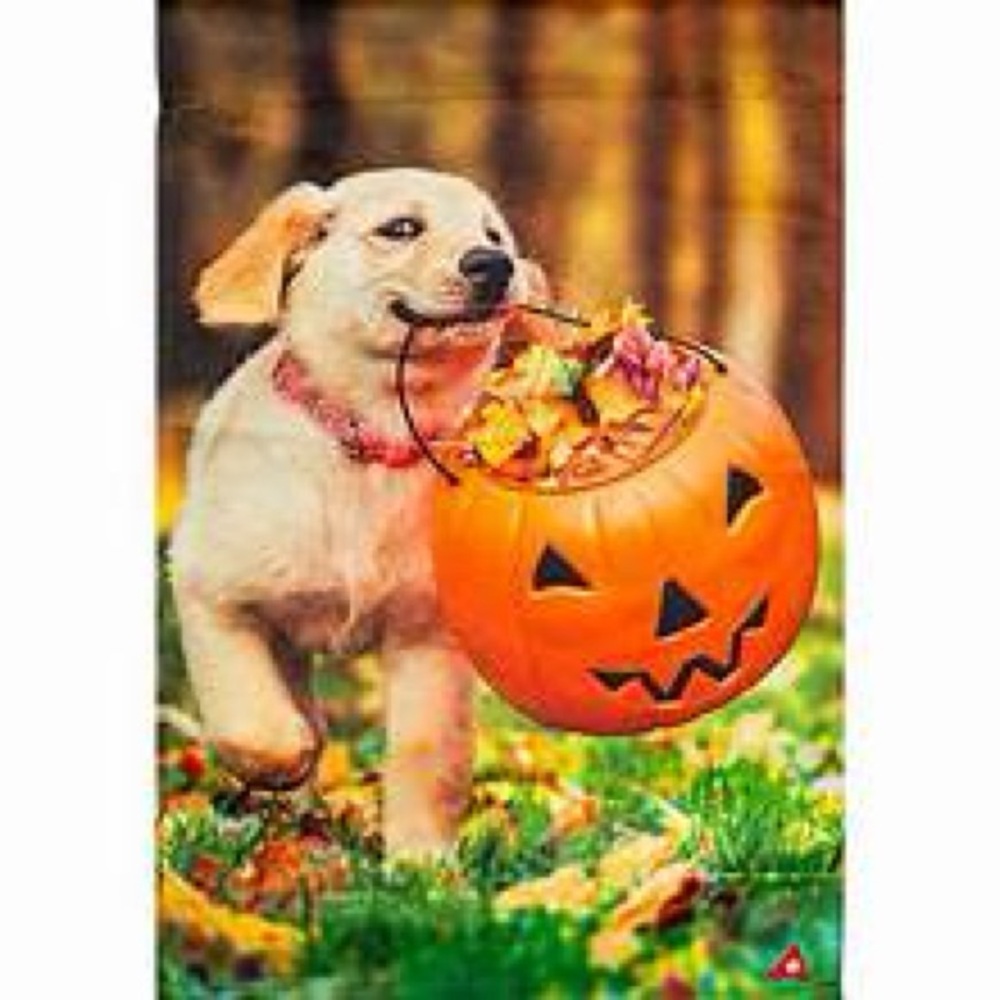 Lab Puppy with pumpkin fall leaf garden flag NEW yellow retriever dog autumn